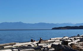 Esquimalt Lagoon Life